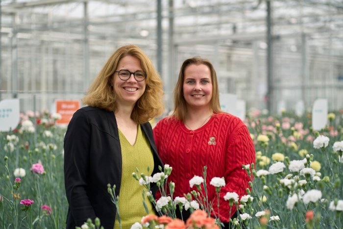 Human Resources at HilverdaFlorist